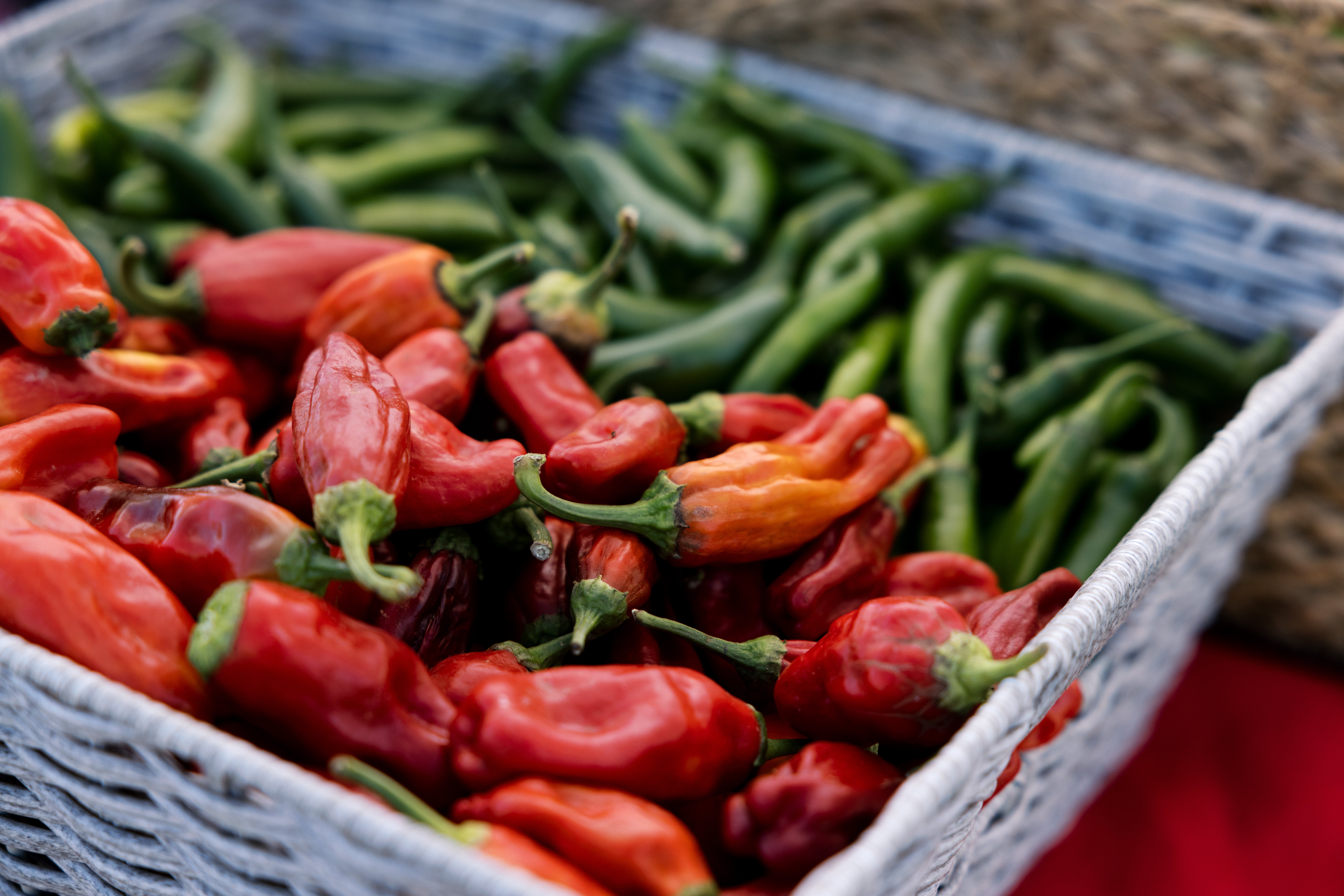 AIM educational program